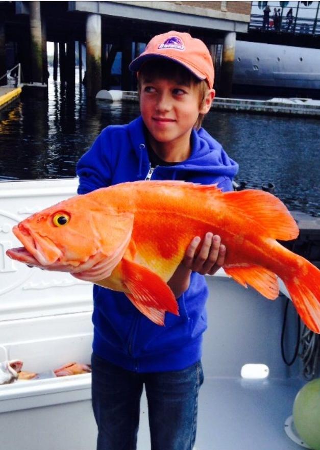 Big fish
